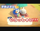 【あつ森 #12】きぬよさん　いらっしゃい!!!【女性実況】