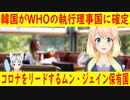 【韓国の反応】韓国がWHOの執行理事国に確定！→ムン・ジェイン大統領様はノーベル平和賞を受けなければならない。【世界の〇〇にゅーす】