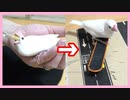 【白文鳥】挿し餌ルーティンとスケボー練習