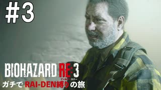 【縛り実況】BIO HAZARD RE:3 インフェルノモード ガチでRAI-DEN縛り+αの旅 その3