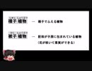 【中学１年・理科】短時間で学ぶ「花のつくりとはたらき」