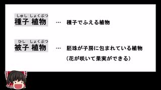 【中学１年・理科】短時間で学ぶ「花のつくりとはたらき」