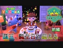 【あつ森 実況】国王、誕生日を迎える。〈前編〉【カトリークⅠ世の無人島統治日誌】