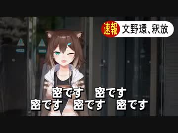 【6分でわかれ】文野環の獄中配信【脱獄宣言からピースまで】