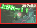 【ゼルダの伝説BotW】バクダンで大体のことは解決する大冒険 part19【実況】