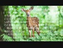 自我の終焉２－13ー1　憎悪について