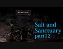 【Salt_and_Sanctuary】2D世界の呪われた島を初見探索【実況】part12