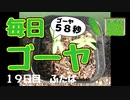 【毎日ゴーヤ】毎日５８秒でゴーヤの成長をみる動画（１９日目）