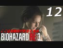 BIOHAZRD RE:3【実況】#12