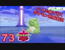 【シールド】二人三脚で行くポケモン剣盾実況プレイ【74】