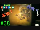 【実況】捻くれ者の無人島生活【あつまれ　どうぶつの森】３８日目