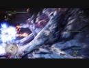 【MHWI】発売日からストーリー攻略するまでエクストラ【実況】　part9