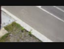 2020/5/21(木) 反日カルト、集団ストーカー組織共謀犯罪周知 札幌ゲリラ街宣ー①