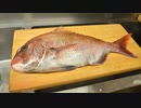 寿司職人による真鯛の仕込みから握りまで〜How To Make Red sea bream Sushi〜