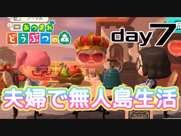 【あつ森】夫婦で無人島生活day7