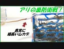 蟻の巣防衛戦！異常に細長いムカデがアリの巣に侵入してきたら・・・。