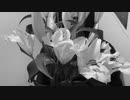 bias / ユリ (lily) Music Video