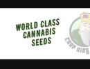 HOW TO AVOID CORONA VIRUS BE A RESPONSIBLE STONER