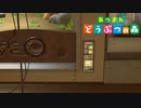 【実況】自由気ままに無人島ライフ ３９日目【あつ森】