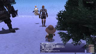 【FF11】冒険の記録～夢追い人～黄金のたてがみ