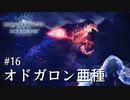 【MHWI】双剣で一狩りいこうか【実況】#16/オドガロン亜種