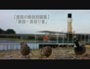 昔話の新説短編集「新説・舌切り雀」（作：朗読　神野守）