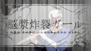 【フルート 】脳漿炸裂ガール / れるりり【演奏してみた】