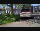 人間がAIカラスに襲われる生映像（近くに毎回同じ車と男が映っている）