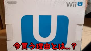 Switch Lite買いに行ったのに、気づいたらWiiUを手にしてた件【2020年に買う意味とは…？】