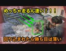 【実況】The Division(ディビジョン) #23 ～延々とリトライする屋上の通信中継 part1～