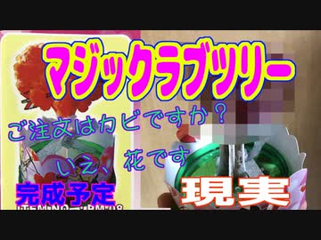 「ご注文はカビですか？いえ、花です。」釣り好きのおっさんが　 他の楽しみを探してみた件  ～第6暇～