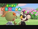 【あつ森】シリーズ初見でゆったり島生活します「みんなとおしゃべり」【ゆっくり字幕】