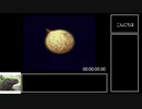 こみゅにてぃぽむ　Any％RTA　2時間53分34秒 part1