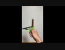 Dancing