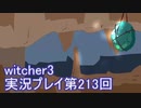 探し人を求めてwitcher3実況プレイ第213回