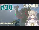 #30【ゼルダの伝説ブレスオブザワイルド】ルッタの謎【女性実況】