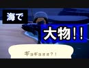 もしかしてさかなクン？【あつ森 #15】ギョギョォォ？！【女性実況】