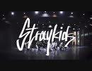 Stray_Kids "MIROH" DancePractice Video