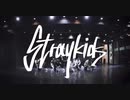 Stray_Kids "MIROH" DancePractice Video