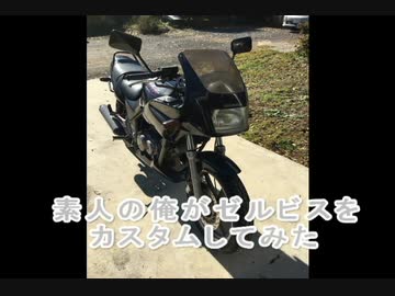 素人の俺がゼルビスをカスタムしてみた