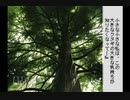 【実況】ぼくのなつやすみ #9