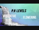 WATERING MARIJUANA PLANTS - How Much Water To Give Growing Weed - Crop King Seeds