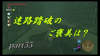 【ゼルダの伝説ブレスオブザワイルド】迷わないようにご注意を【実況プレイ】part55