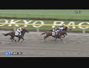 グーガルドリームズ　東京・3歳未勝利　2020年5月23日