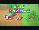 【噛み雑談】あつまらない　どうぶつの森　DASH！2日目