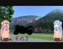 【VOICEROID車載】Ninjaに乗った茜ちゃん　その3【Ninja250】