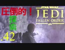 パダワンがジェダイマスターを目指してスターウォーズジェダイフォールンオーダーを実況プレイする.42[STAR WARS JEDI FALLEN ORDER]