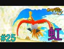 【実況】力こそ正義なポケモン救助隊【ポケモン不思議のダンジョン 救助隊DX】25階