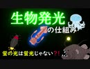 【バイオLab#4】生物発光の仕組み　蛍はなぜ光る？【ゆっくり解説】