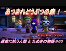 【あつ森】前人未島へようこそ！#65【あつまれどうぶつの森】